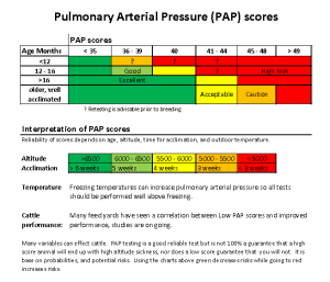 Using PAP Scores – TreyVeteris